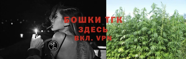 ECSTASY Верея
