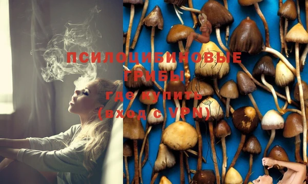 первитин Верхний Тагил