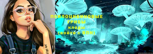 первитин Верхний Тагил