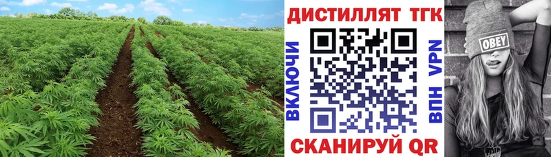 Купить закладки  Лянтор  ТГК THC oil 