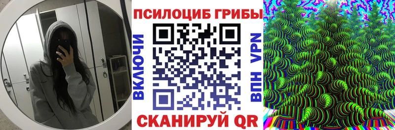 Купить где  Лянтор  Галлюциногенные грибы GOLDEN TEACHER 